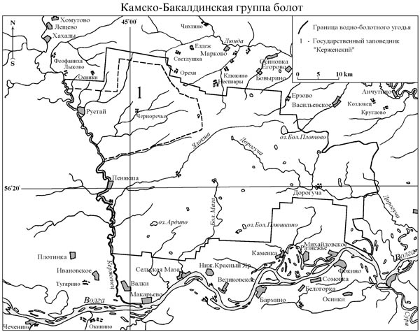Камско-Бакалдинская группа болот (включая государственный природный заповедник «Керженский»), водно-болотное угодие