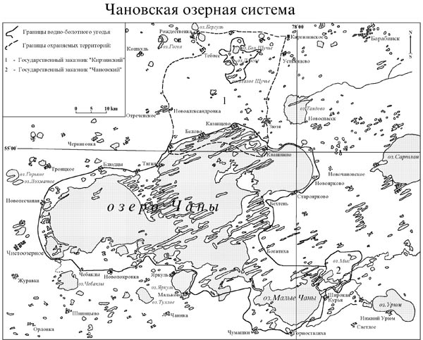 Чановская озёрная система, водно-болотное угодие