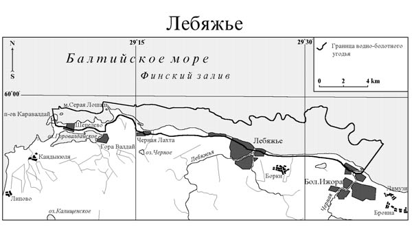 Южное побережье Финского залива в пределах заказника «Лебяжье», водно-болотное угодие