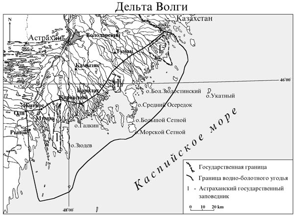 Дельта реки Волги, включая Астраханский государственный биосферный заповедник, водно-болотное угодие